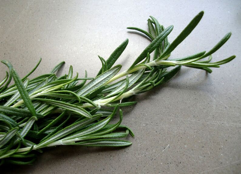 Rosemary to increase power
